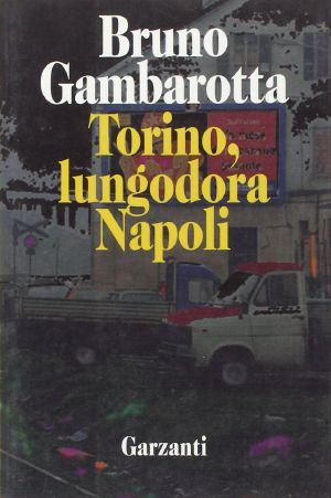 Torino, Lungodora Napoli