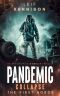 Pandemic Collapse - The First Horde