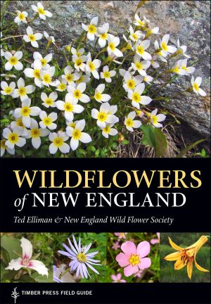 Wildflowers of New England · Timber Press Field Guide (A Timber Press Field Guide)