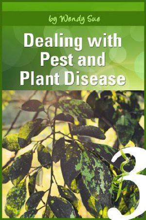 Dealing With Pest and Plant Disease