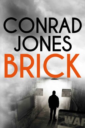 Brick · an Unputdownable Gritty Thriller...