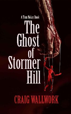 The Ghost of Stormer Hill (Tom Nolan Book 3)