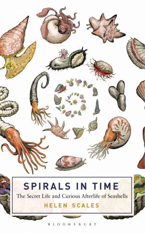 Spirals in Time · The Secret Life and Curious Afterlife of Seashells