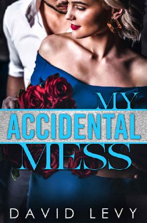 My Accidental Mess · an Accidental Pregnancy Romance (Forbidden Billionaires Book 3)