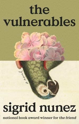 The Vulnerables, A Novel