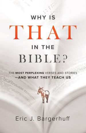 Why Is That in the Bible?: The Most Perplexing Verses and Stories--and What They Teach Us