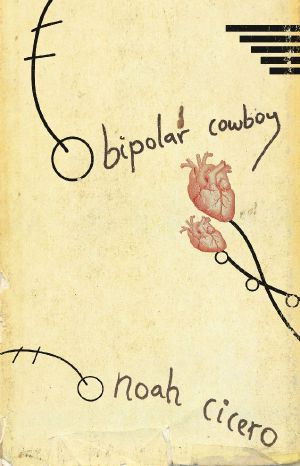 Bipolar Cowboy