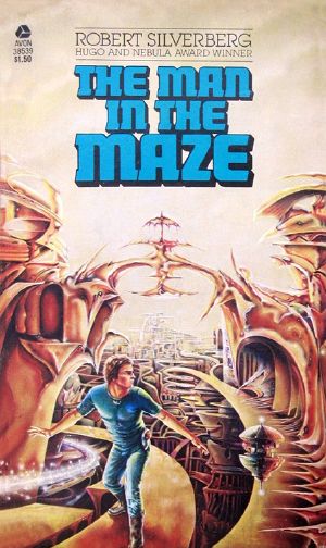 The Man in the Maze