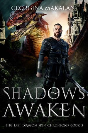 Shadows Awaken (The Last Dragon Skin Chronicles Book 3)