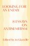 Looking for an Enemy: 8 Essays on Antisemitism