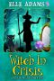 Witch in a Crisis (A Blair Wilkes Mystery Book 10)