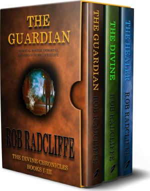 The Divine Chronicles · Box Set 1-3