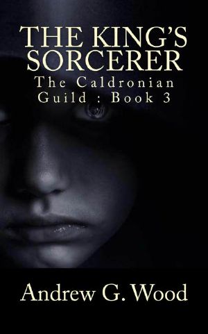 The King's Sorcerer (The Caldronian Guild Book 3)