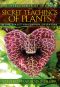 The Secret Teachings of Plants