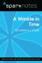 A Wrinkle in Time: SparkNotes Literature Guide