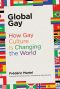 Global Gay, How Gay Culture Is Changing the World