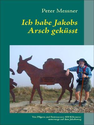 Ich habe Jakobs Arsch geküsst · Von Pilgern und Bettwanzen: 800 Kilometer unterwegs auf dem Jakobsweg 