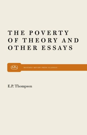 The Poverty of Theory & Other Essays