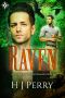 Raven · Elsewhere Gay Fantasy Romance