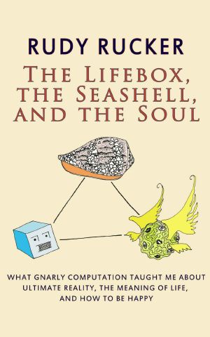 The Lifebox, the Seashell, and the Soul · What Gnarly Computation Taught Me About Ultimate Reality, the Meaning of Life, and How to Be Happy