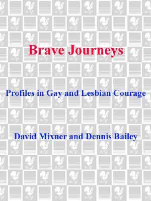 Brave Journeys