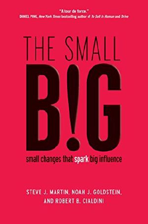 The Small BIG · Small Changes That Spark Big Influence