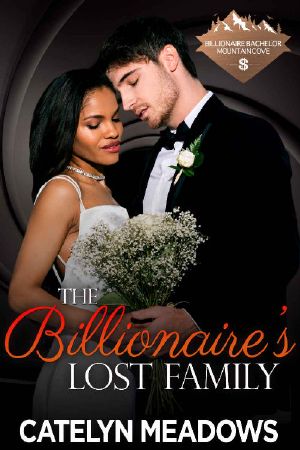 The Billionaire's Lost Family · A Companion Novella (Billionaire Bachelor Mountain Cove Book 20)