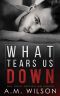 What Tears Us Down: A Single Dad Standalone Romance (Arrow Creek Book 3)