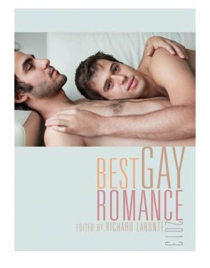 Best Gay Romance 2013