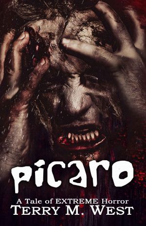 Picaro