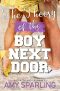 The Theory of the Boy Next Door: A Sweet Young Adult Romance (Brazos High Romance Book 3)