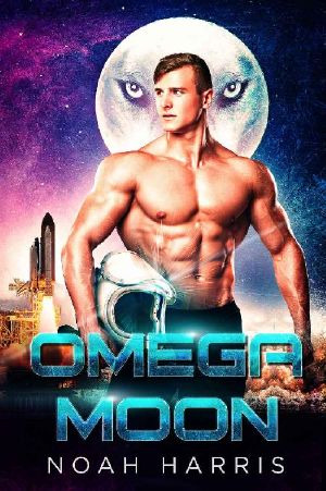 Omega Moon · A Gay Shifter MPREG