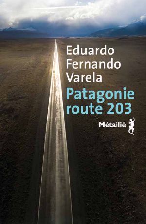 Patagonie Route 203