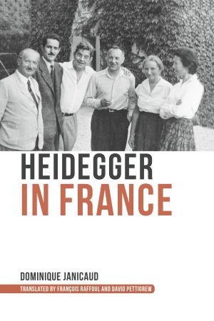 Heidegger in France