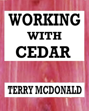 Working With Cedar · A Post Apocalyptic Tale