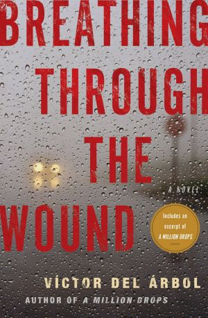 Breathing Through the Wound, A Novel