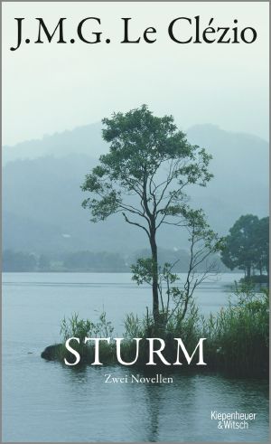 Sturm · Zwei Novellen, Zwei Novellen