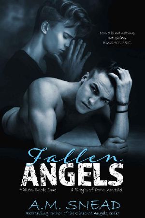 Fallen Angels · Fallen Book 1 (a Boys of Porn novella)
