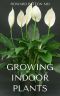 GROWING INDOOR PLANTS : The Essential Guide To Growing Indoor Plants For Beautiful Decor