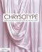 Chrysotype · a Contemporary Guide to Photographic Printing in Gold