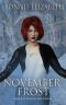 November Frost: Book 2 of the Frost Witch Saga