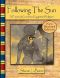 Following the Sun · A Practical Guide to Egyptian Religion, Revised Edition