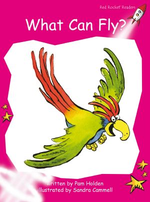 What Can Fly?