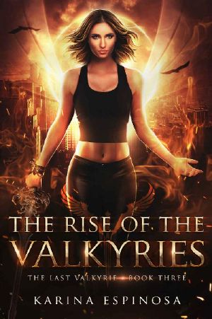 The Rise of the Valkyries (The Last Valkyrie Book 3)