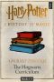 A History of Magic · A Journey Through the Hogwarts Curriculum