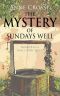 THE MYSTERY OF SUNDAYS WELL: murder in a small Irish town (Cozy small-town Irish murder mysteries Book 2)