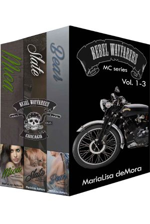 Rebel Wayfarers MC · Box Set 1