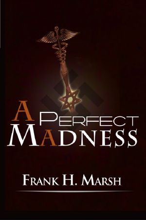 A Perfect Madness