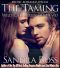 The Taming (Wild Cats Part Two) · Erotic Romance Series