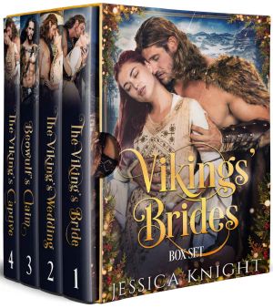 Vikings' Brides Box Set